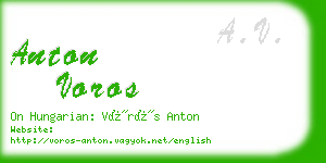 anton voros business card